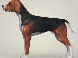 realistic hound black dog 3D Model