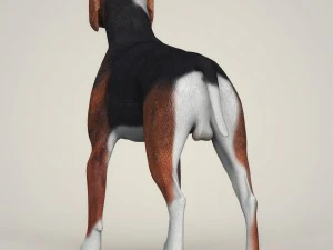 realistic hound black dog 3D Model