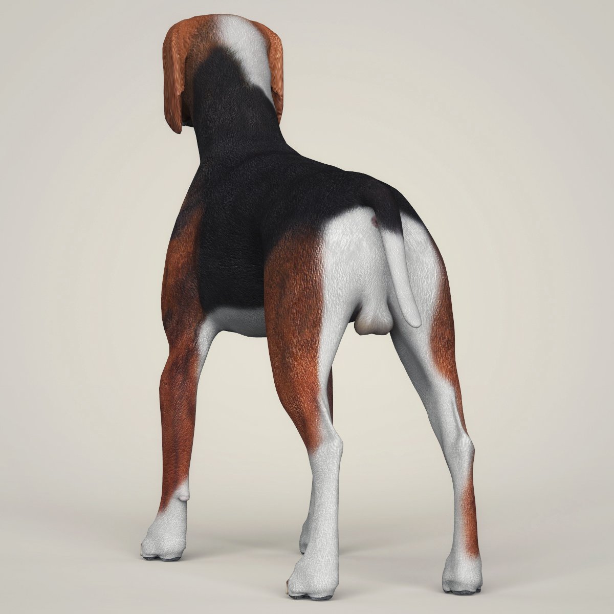 3d dog. Модель дог. Коллекция 3d собаки. Модел дог тело стрижка. Каркасные реалистичные собаки.