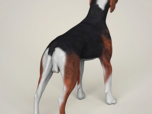 realistic hound black dog Modèle 3D