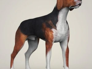 realistic hound black dog 3D Model