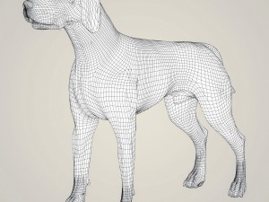 realistic hound black dog Modèle 3D