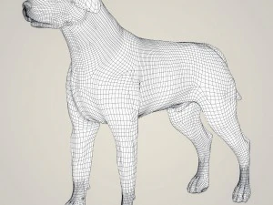 realistic black labrador dog 3D Model