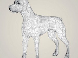 realistic miniature pinscher dog 3D Model