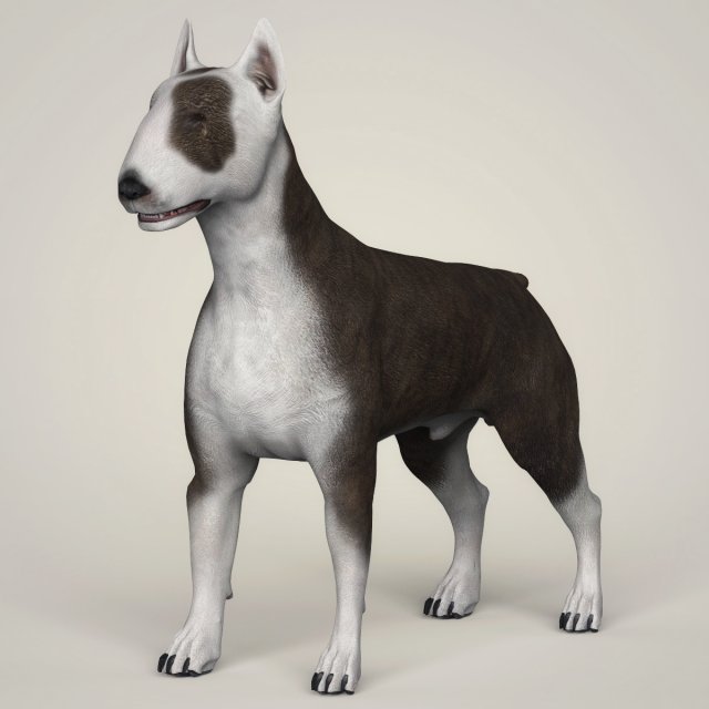 realistic bull terrier dog 3D Model .c4d .max .obj .3ds .fbx .stl .blend 