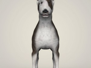 realistic bull terrier dog 3D Model