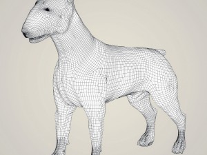 realistic bull terrier dog 3D Model