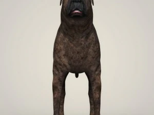 realistic mastiff dog 3D Model