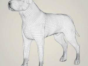 realistic mastiff dog 3D Model
