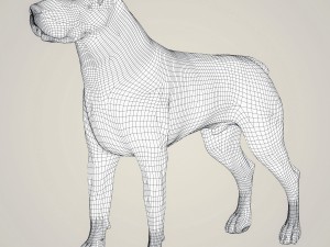 realistic rottweiler dog 3D Model