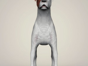 realistic parson russell terrier dog 3D Model