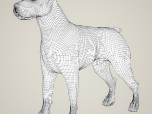realistic parson russell terrier dog 3D Model