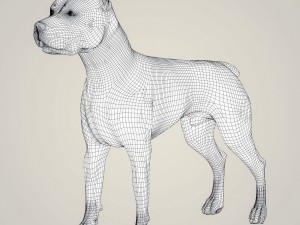 realistic american staffordshire dog 3D 模型