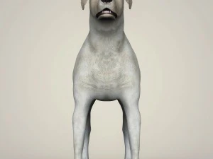 realistic labrador dog 3D Model