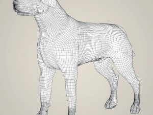 realistic labrador dog Model 3D