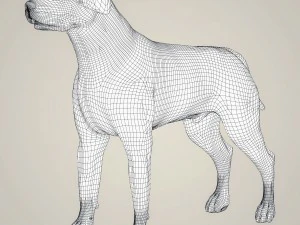 realistic labrador dog 3D Model