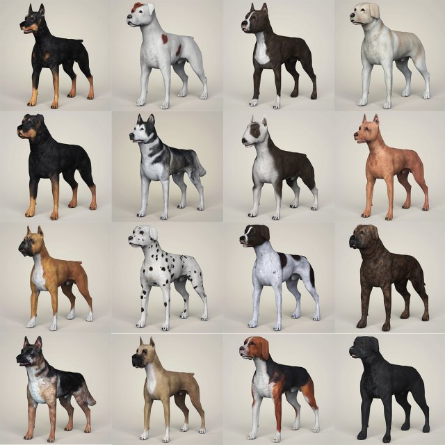 Dog breeds collection Model 3D .c4d .max .obj .3ds .fbx .stl .blend 