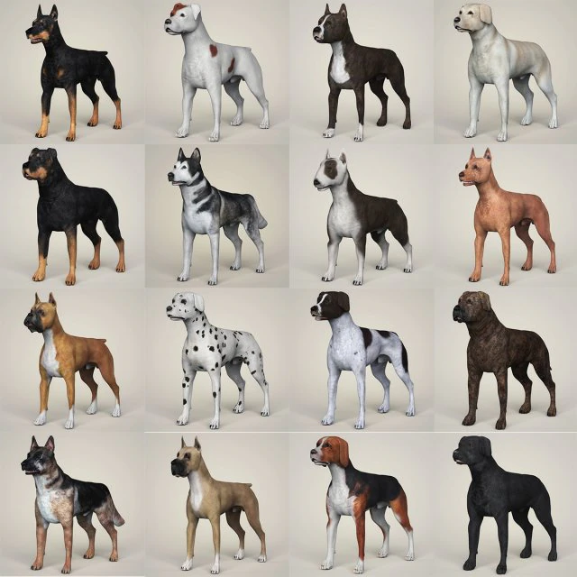 Dog breeds collection 3D Model .c4d .max .obj .3ds .fbx .stl .blend 