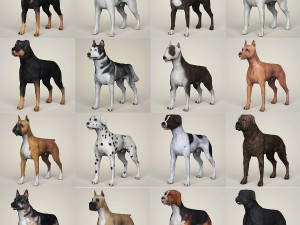 Dog breeds collection 3D Model