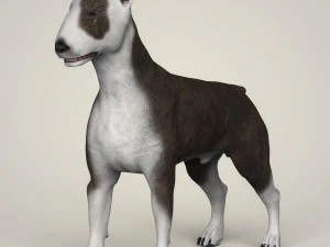 Dog breeds collection 3D Model