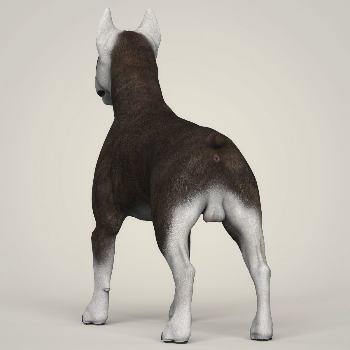 3d модель собаки. Dog 3d model. Щенок 3d модель. Dog 3d model. 3d модель собаки.