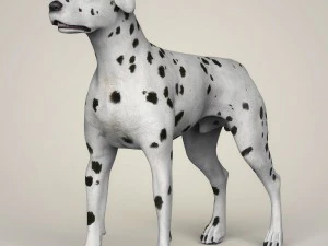 Dog breeds collection 3D Model