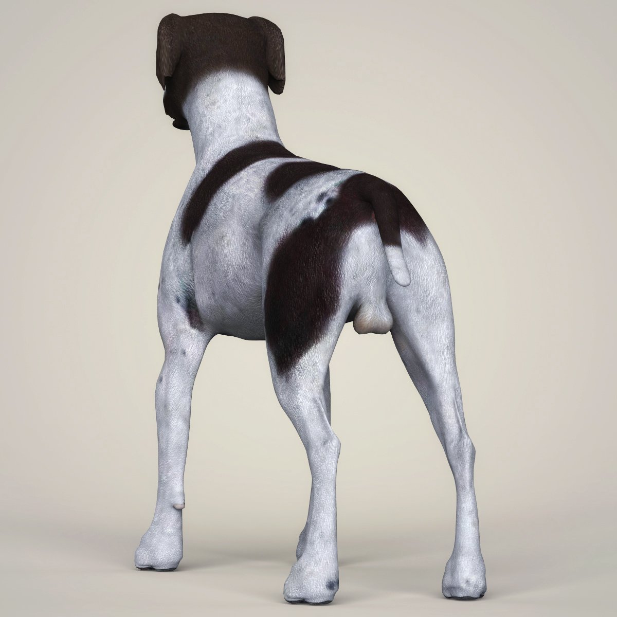 Dog 3d model. Слим дог 3d. Зд модель собаки. Realistic bull 3d. 3д дог.