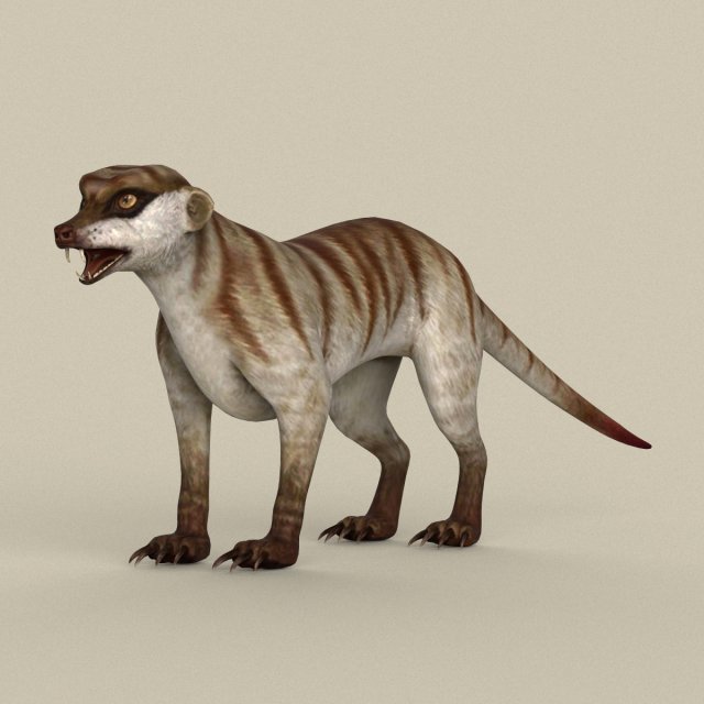 game ready meerkat 3Dモデル .c4d .max .obj .3ds .fbx .stl .blend 
