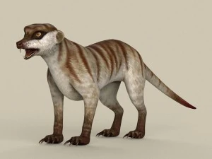 spel klaar meerkat 3D Model