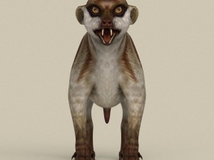 game ready meerkat 3Dモデル