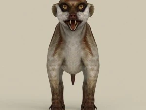 game ready meerkat 3D Model