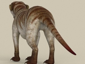 game ready meerkat 3Dモデル