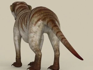game ready meerkat 3D Model