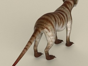 game ready meerkat 3Dモデル