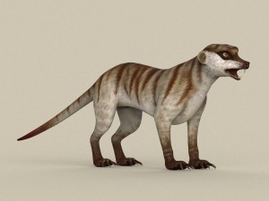 game ready meerkat 3Dモデル