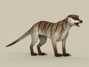 game ready meerkat 3D Model