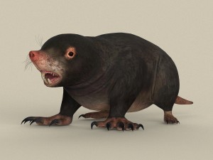 game ready mole Modelo 3D