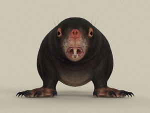 game ready mole 3D Model