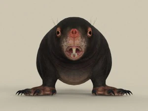 game ready mole 3D Model