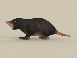 game ready mole 3D Model