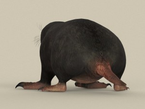 game ready mole 3D Model