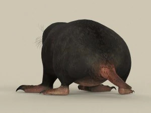 game ready mole 3D Model