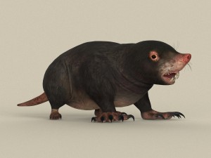 game ready mole 3D Model