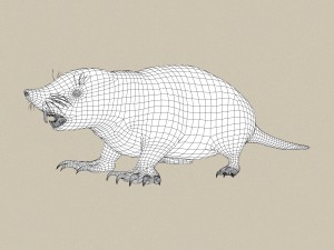 game ready mole 3D Model