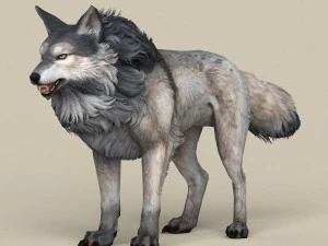 loup pr&ecirc;t &agrave; jouer Modèle 3D