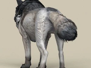game ready wolf 3D Model