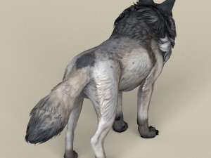 game ready wolf 3D 模型