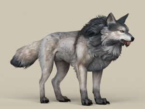 game ready wolf 3D 模型