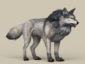 game ready wolf 3D Model
