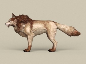 game ready brown wolf 3D-Modell
